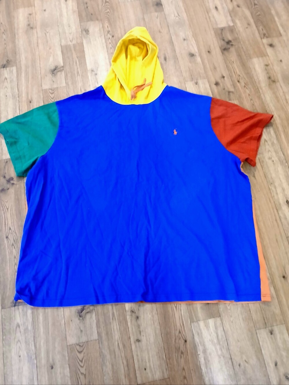 Polo by Ralph Lauren  Colorblock Hoodie in Bright Blue, Yellow, Green & Red